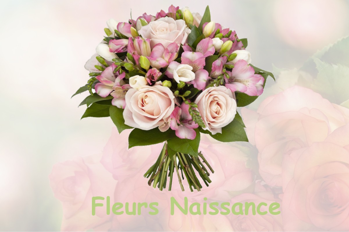 fleurs naissance JUVIGNY-EN-PERTHOIS