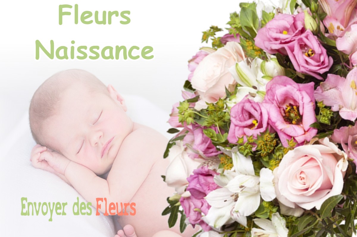 lIVRAISON FLEURS NAISSANCE à JUVIGNY-EN-PERTHOIS